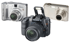Digital Camera Batteries